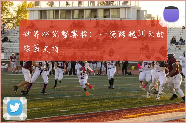 世界杯完整赛程:一场跨越30天的绿茵史诗