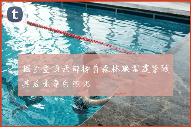 掘金登顶西部榜首森林狼雷霆紧随其后竞争白热化