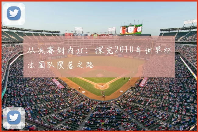 从决赛到内讧：探究2010年世界杯法国队陨落之路