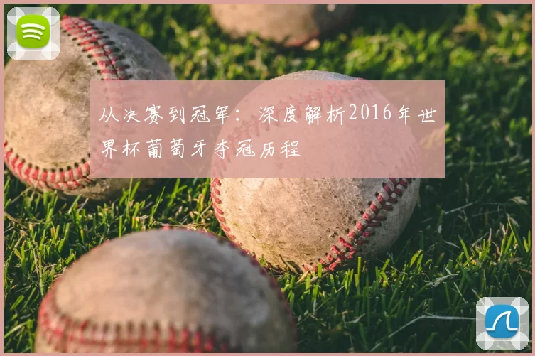 从决赛到冠军:深度解析2016年世界杯葡萄牙夺冠历程