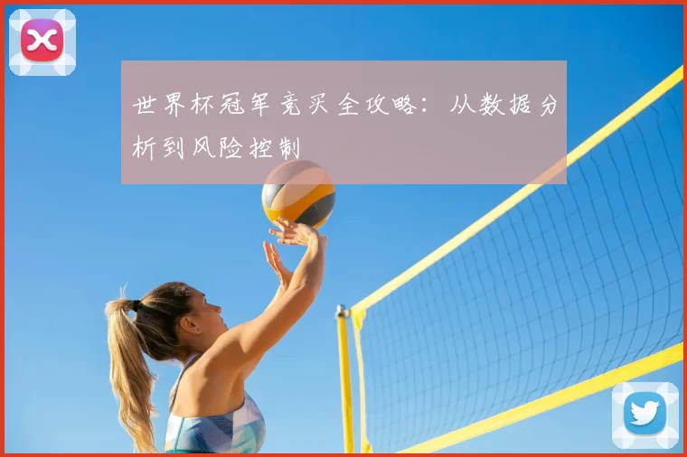 世界杯冠军竞买全攻略：从数据分析到风险控制