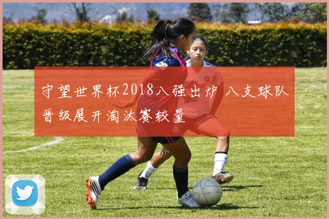 守望世界杯2018八强出炉 八支球队晋级展开淘汰赛较量