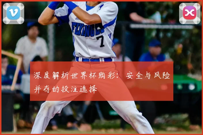 深度解析世界杯购彩:安全与风险并存的投注选择