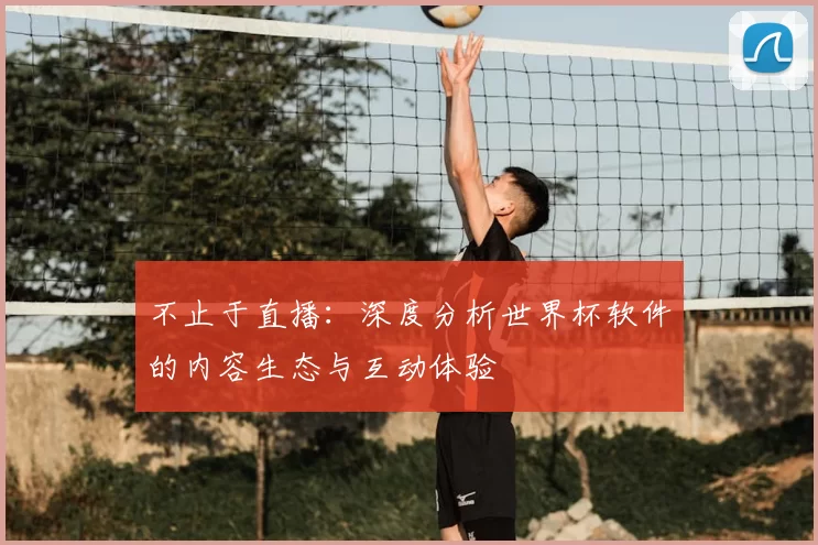 不止于直播:深度分析世界杯软件的内容生态与互动体验