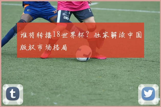 谁将转播18世界杯?独家解读中国版权市场格局