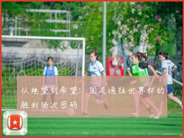 从绝望到希望:国足通往世界杯的胜利场次密码